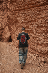 Person walking along a rocky path with a textured red-brown wall in the background